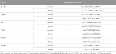 Transcriptome analysis of the gene expression of M. iliotibialis lateralis affected by dietary methionine restriction